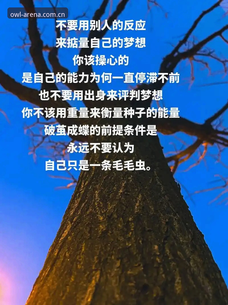 揭秘猫头鹰体育平台资质：从数据加密到正版保障的深度解析